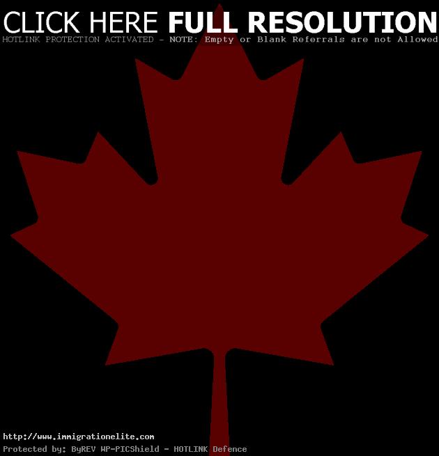 A canadian maple leaf is shown on a white background.